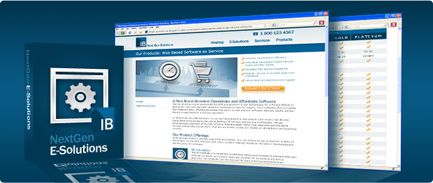 IB NextGen Solutions: E-Solutions. Professional, targeted and focused Web Development