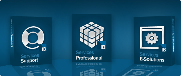 IB NextGen Solutions: Professional Services, Support Services & E-Solutions Services Graphic